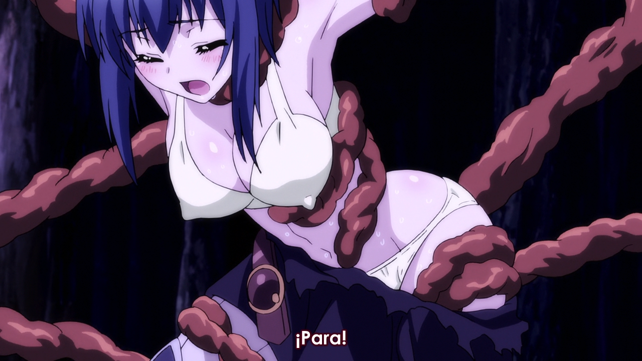 Seikoku no Dragonar (BD) (Anime Underground)